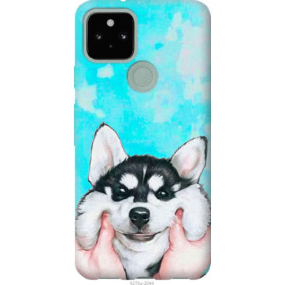 Чехол на Google Pixel 5 Улыбнись (4276u-2044)