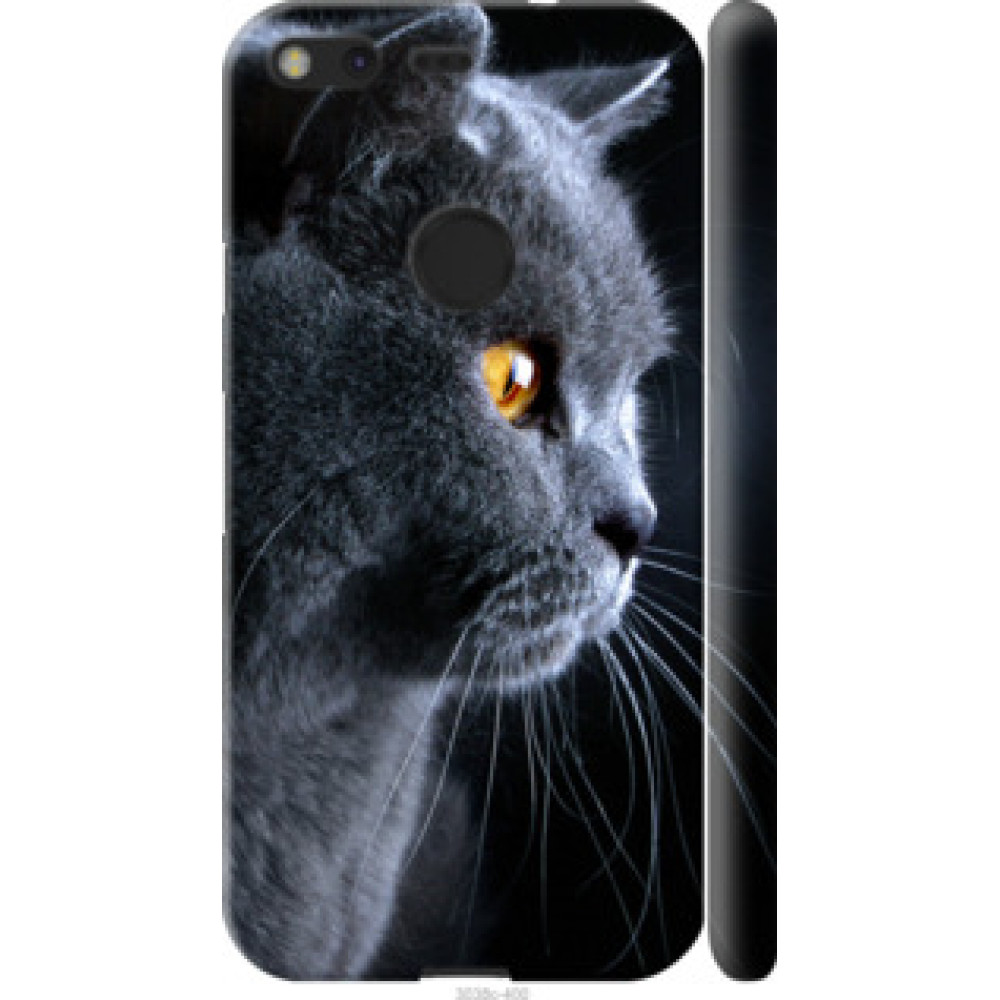 Чехол на Google Pixel Красивый кот (3038c-400)