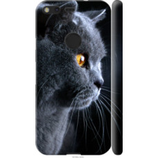 Чехол на Google Pixel Красивый кот (3038c-400)