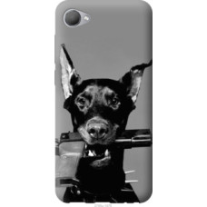 Чехол на HTC Desire 12 Доберман (2745u-1476)