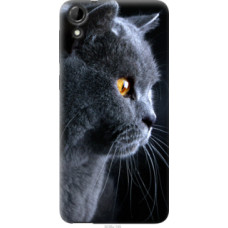 Чехол на HTC Desire 728G Красивый кот (3038u-145)