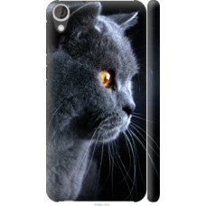 Чехол на HTC Desire 820 Красивый кот (3038c-133)