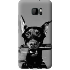 Чехол на HTC U Ultra Доберман (2745u-833)