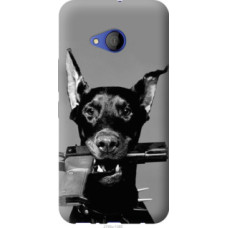 Чехол на HTC U11 Life Доберман (2745u-1385)