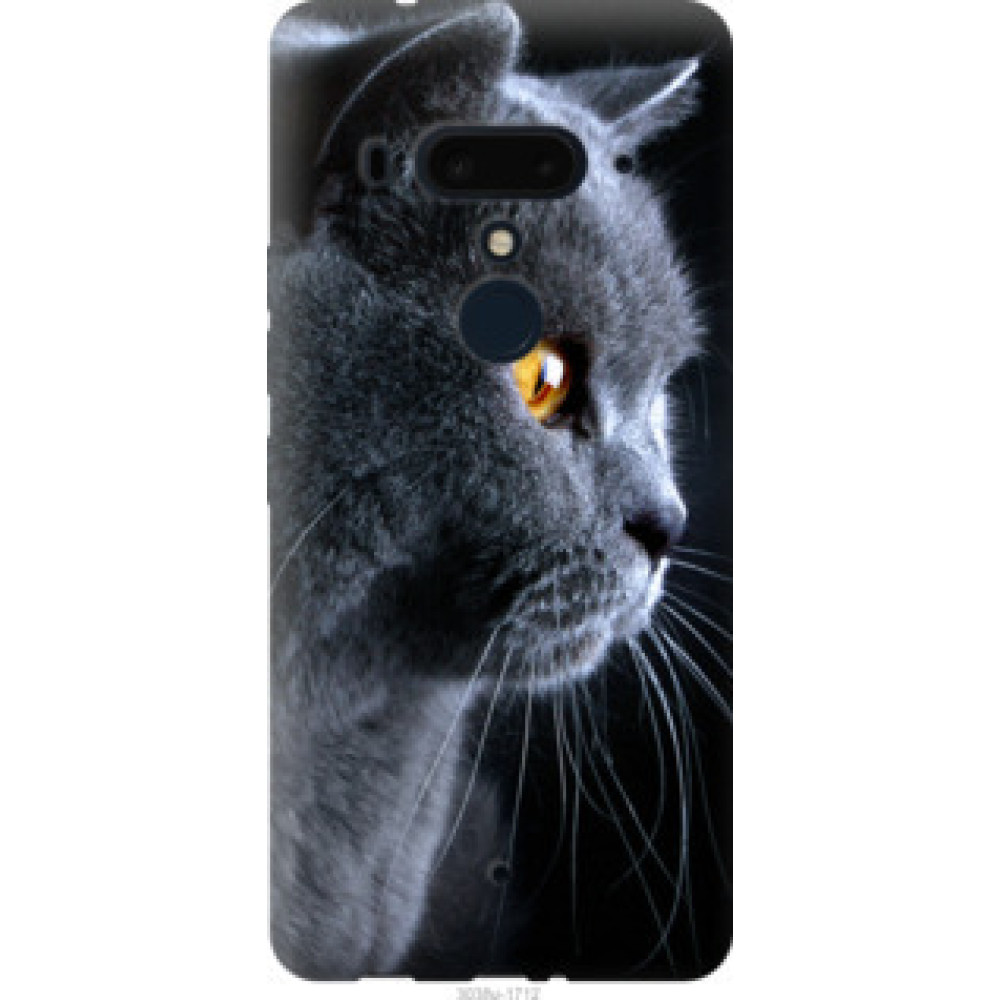 Чехол на HTC U12 Plus Красивый кот (3038u-1712)