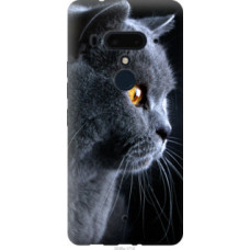 Чехол на HTC U12 Plus Красивый кот (3038u-1712)