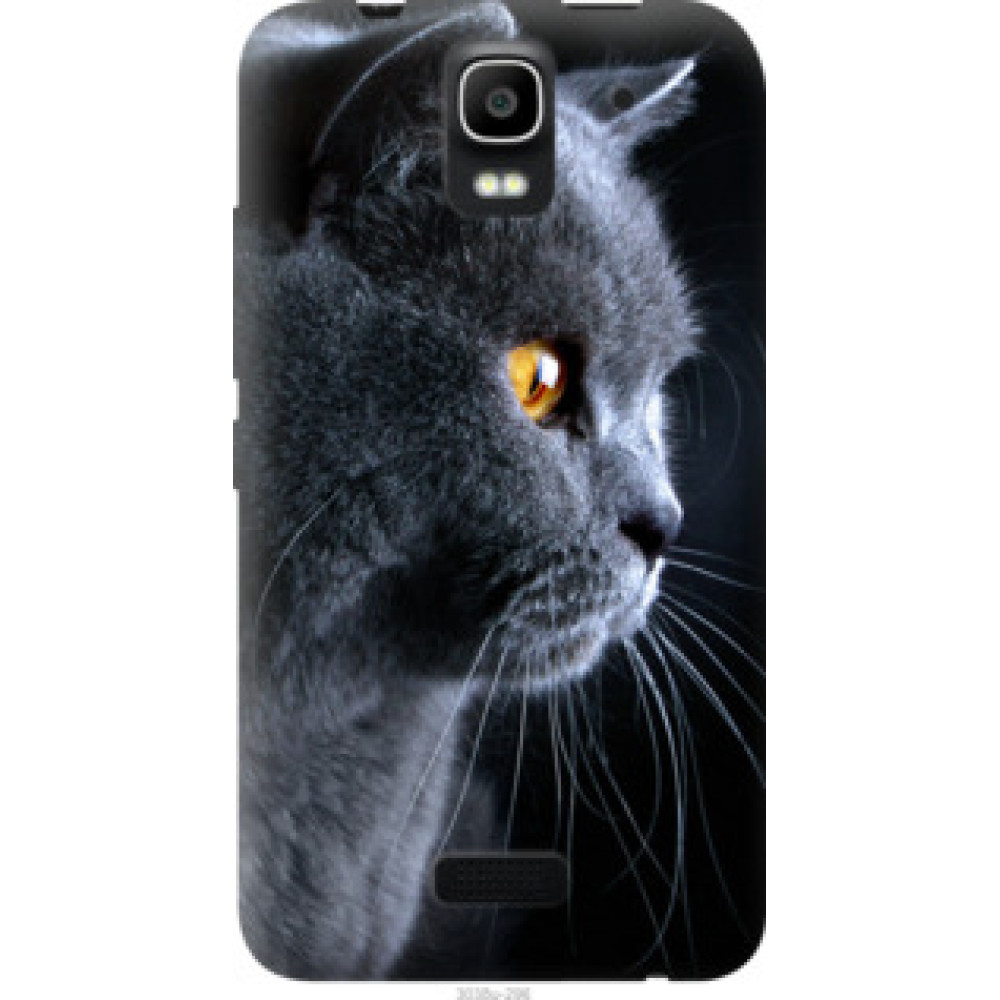 Чехол на Huawei Ascend Y3C Красивый кот (3038u-296)