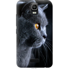 Чехол на Huawei Ascend Y3C Красивый кот (3038u-296)