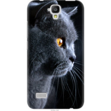 Чехол на Huawei Ascend Y5 DS/Y560 Красивый кот (3038u-340)