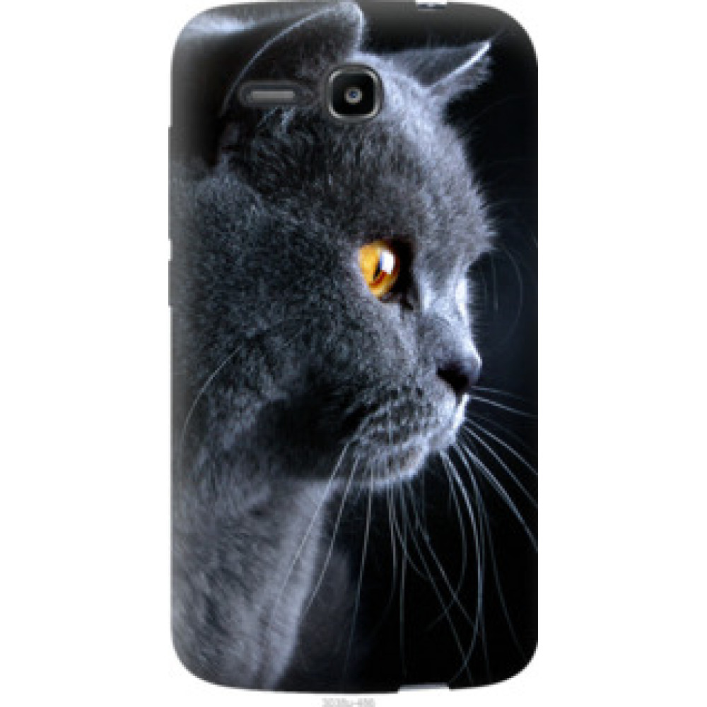 Чехол на Huawei Ascend Y600 Красивый кот (3038u-486)