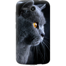 Чехол на Huawei Ascend Y600 Красивый кот (3038u-486)