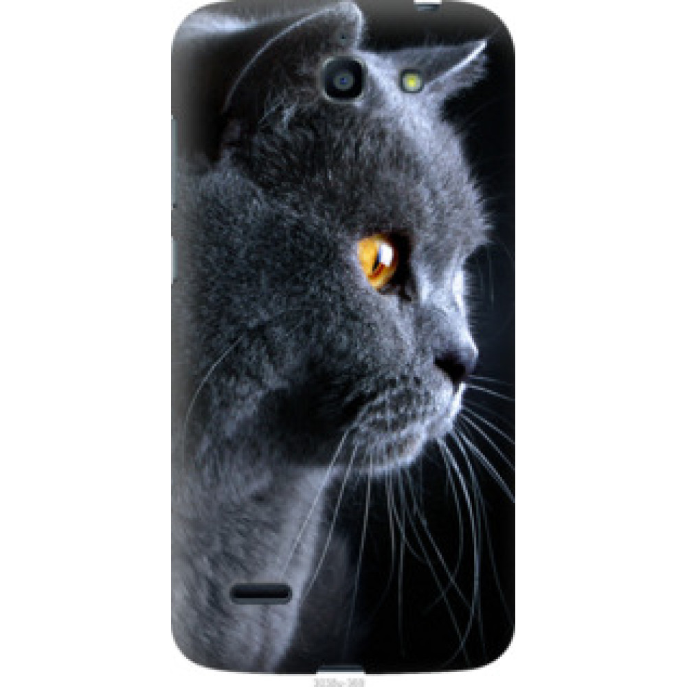 Чехол на Huawei G730 Красивый кот (3038u-369)