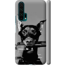 Чехол на Huawei Honor 20 Pro Доберман (2745c-1702)