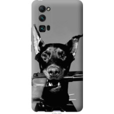Чехол на Huawei Honor 30 Pro Доберман (2745u-1920)