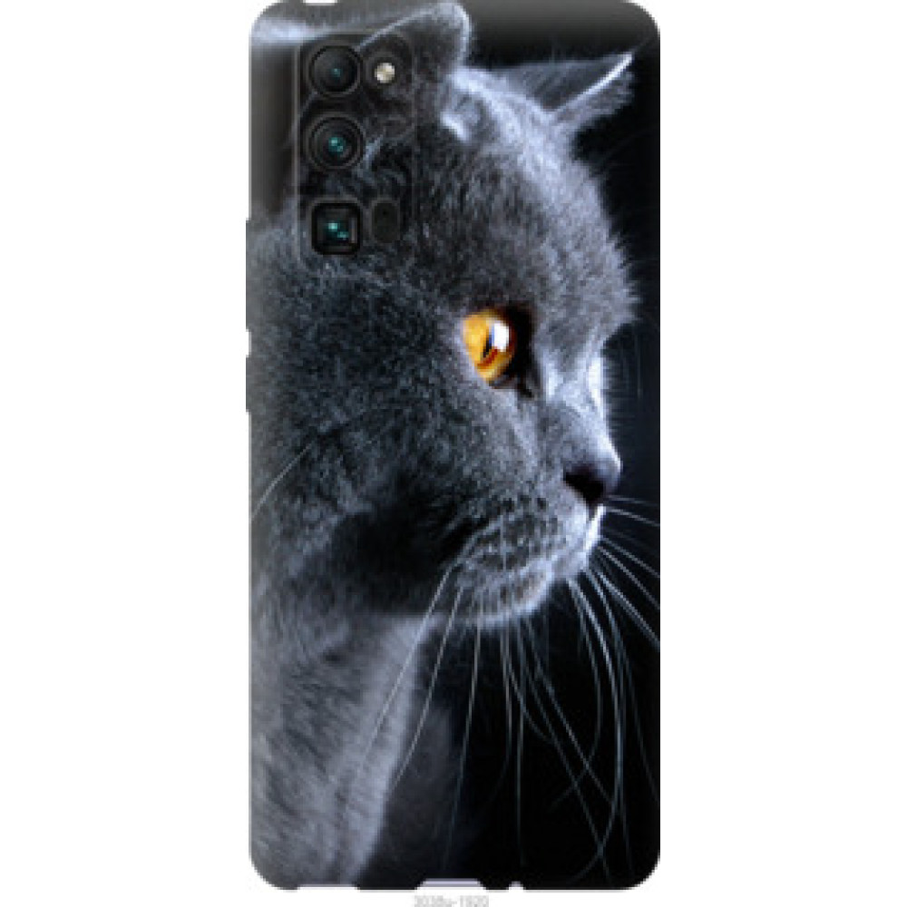 Чохол на Huawei Honor 30 Pro Красивый кот (3038u-1920)