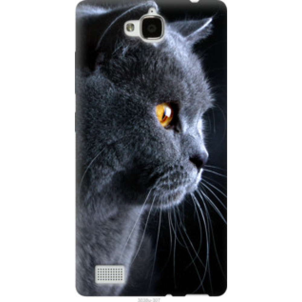 Чехол на Huawei Honor 3C Красивый кот (3038u-307)