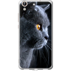 Чехол на Huawei Honor 5A Красивый кот (3038u-456)