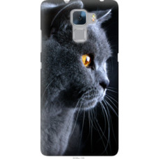 Чехол на Huawei Honor 7 Красивый кот (3038u-138)