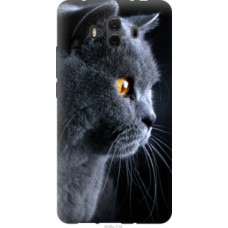 Чехол на Huawei Mate 10 Красивый кот (3038u-1116)