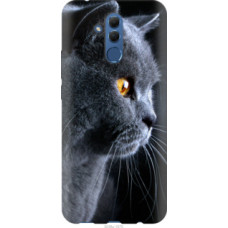 Чехол на Huawei Mate 20 Lite Красивый кот (3038u-1575)