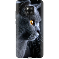 Чехол на Huawei Mate 20 Pro Красивый кот (3038u-1567)