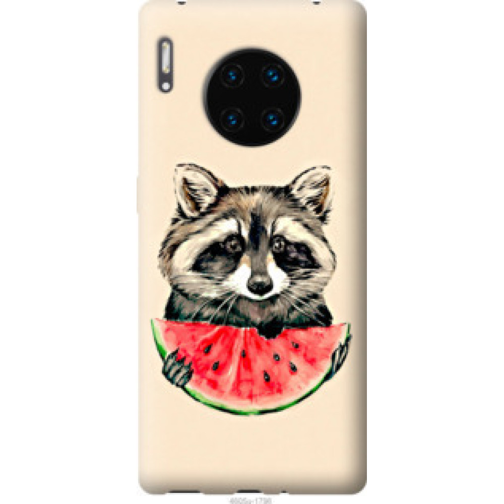Чехол на Huawei Mate 30 Pro Енотик с арбузом (4605u-1796)