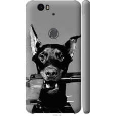 Чехол на Huawei Nexus 6P Доберман (2745c-148)