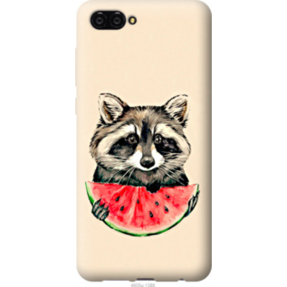 Чехол на Huawei Nova 2S Енотик с арбузом (4605u-1388)