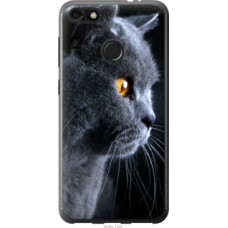 Чехол на Huawei P9 Lite mini Красивый кот (3038u-1517)