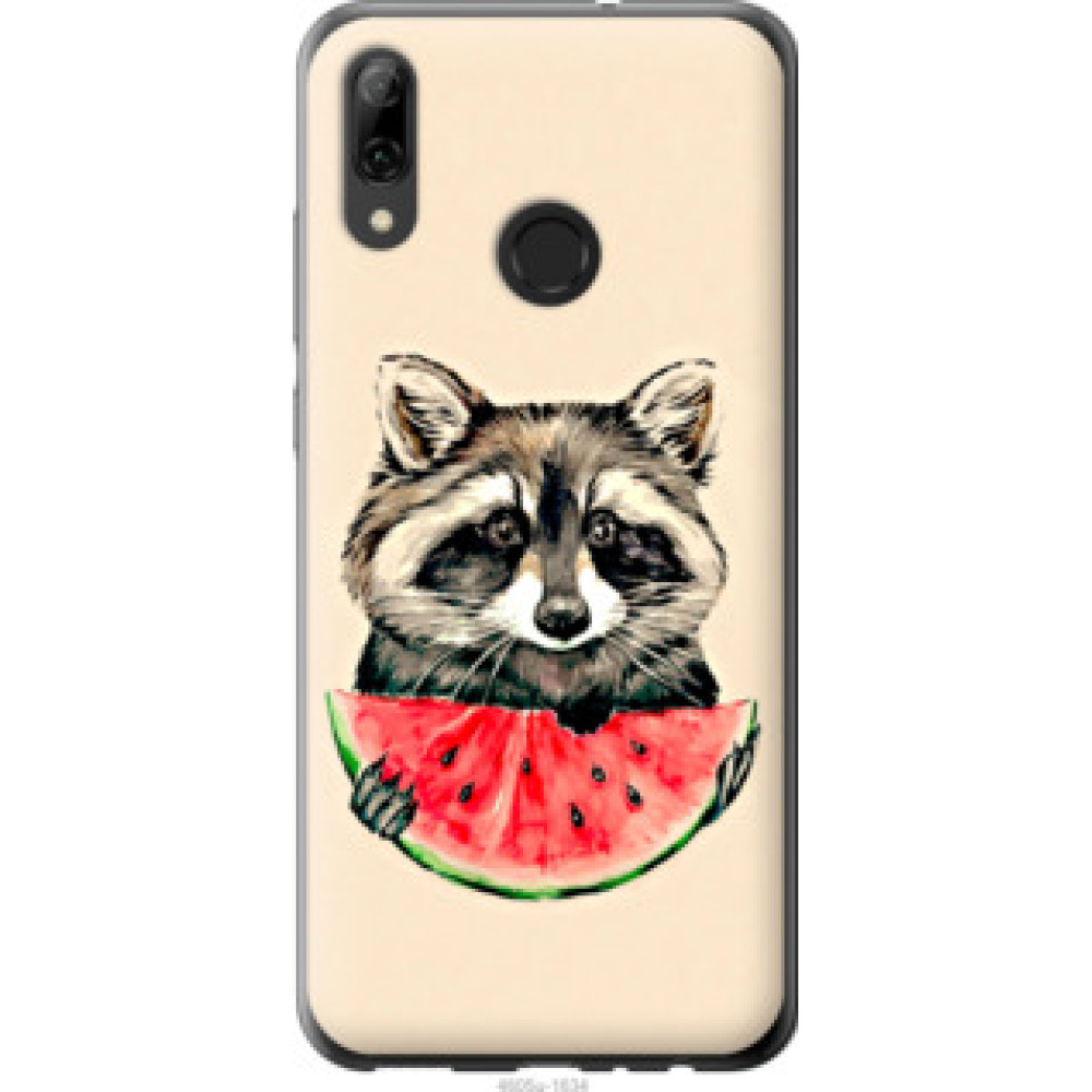 Чохол на Huawei P Smart 2019 Енотик с арбузом (4605u-1634)