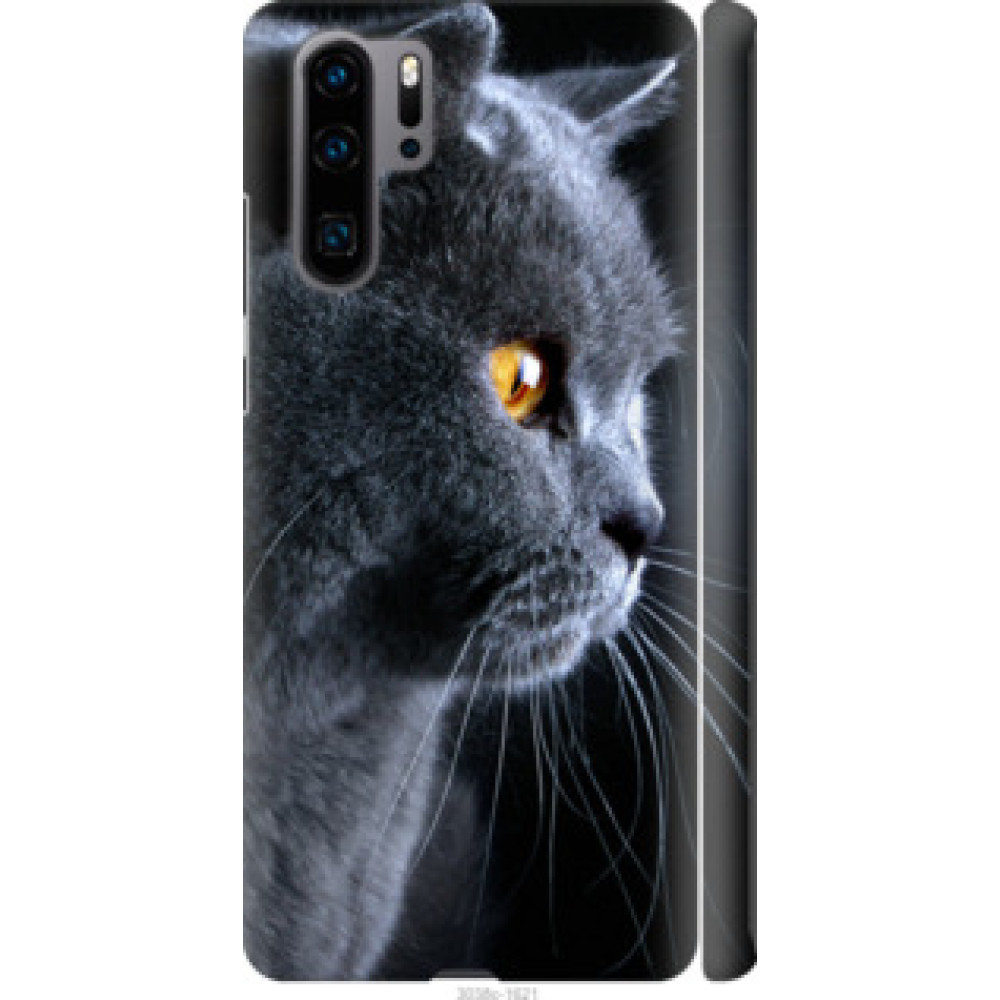 Чохол на Huawei P30 Pro Красивый кот (3038c-1621)