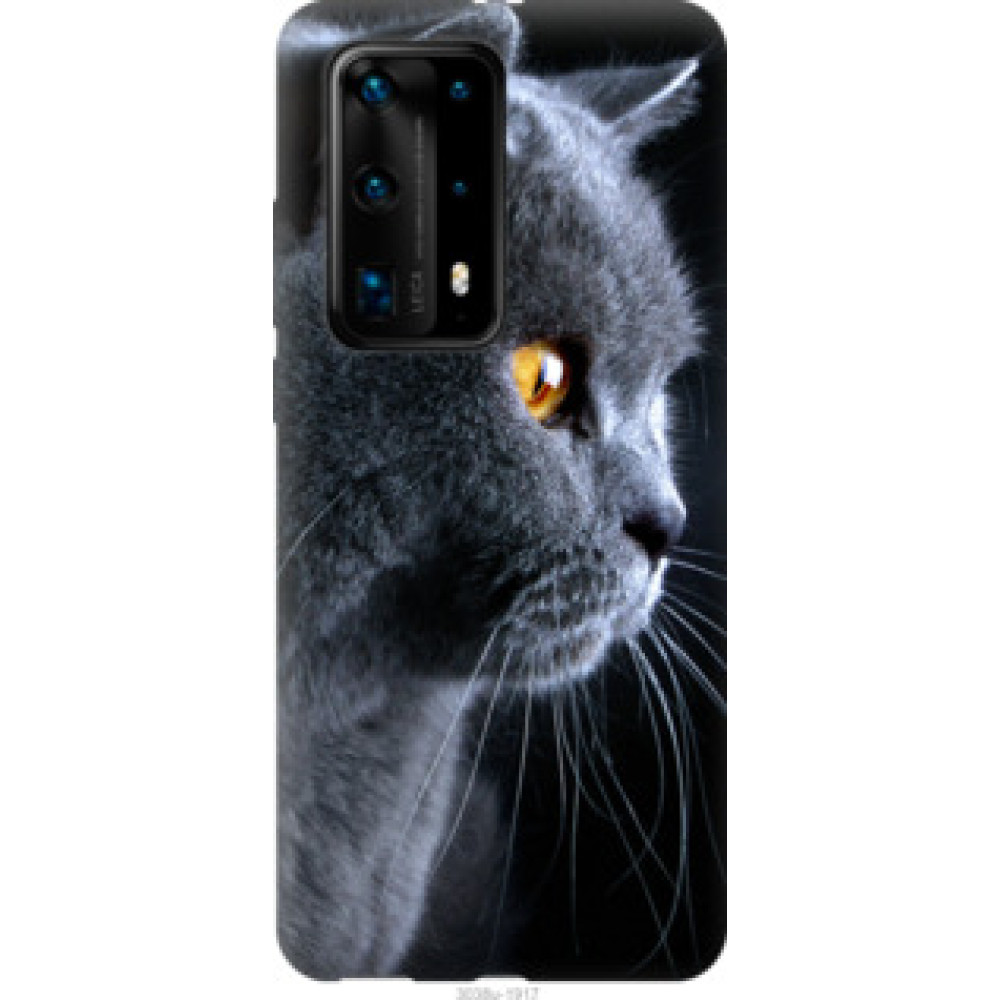 Чехол на Huawei P40 Pro Plus Красивый кот (3038u-1917)