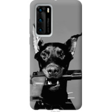 Чехол на Huawei P40 Доберман (2745u-1840)