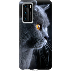 Чехол на Huawei P40 Красивый кот (3038u-1840)