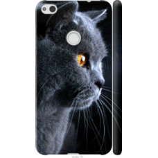 Чехол на Huawei P8 Lite (2017) Красивый кот (3038c-777)