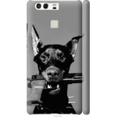 Чехол на Huawei P9 Доберман (2745c-347)