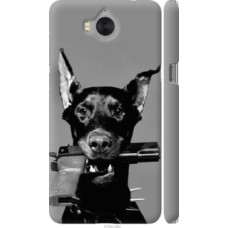 Чехол на Huawei Y5 2017 Доберман (2745c-992)