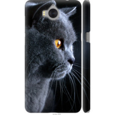 Чехол на Huawei Y5 2017 Красивый кот (3038c-992)