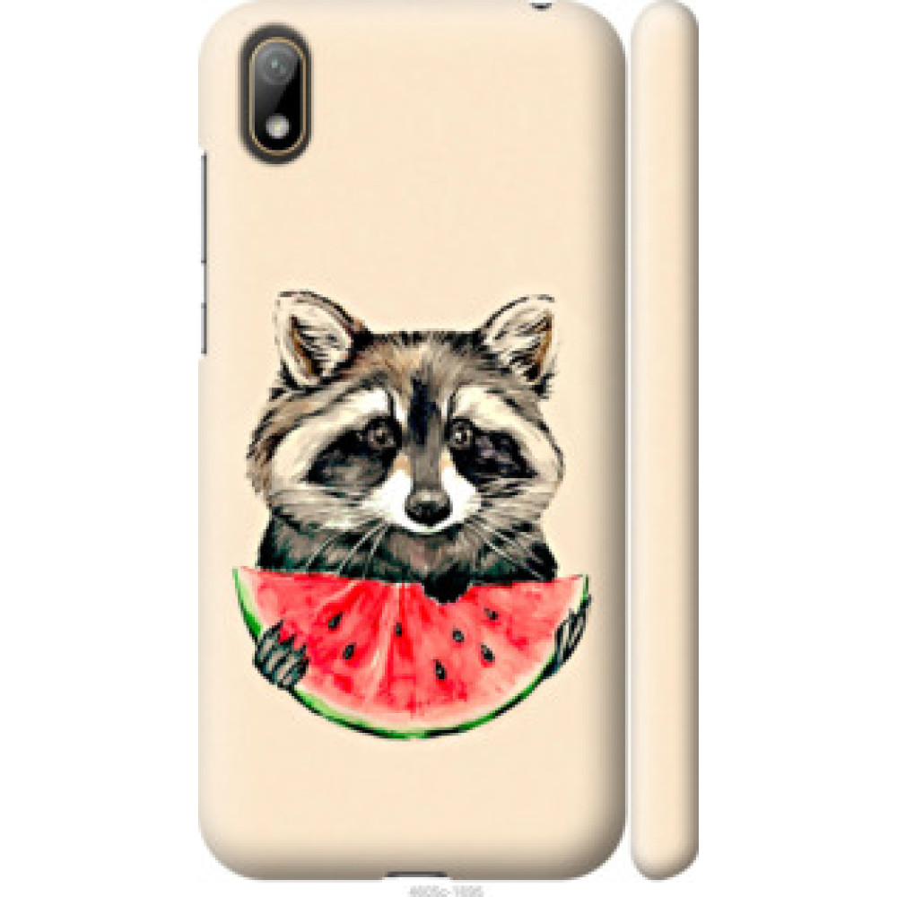 Чохол на Huawei Y5 2019 Енотик с арбузом (4605c-1695)