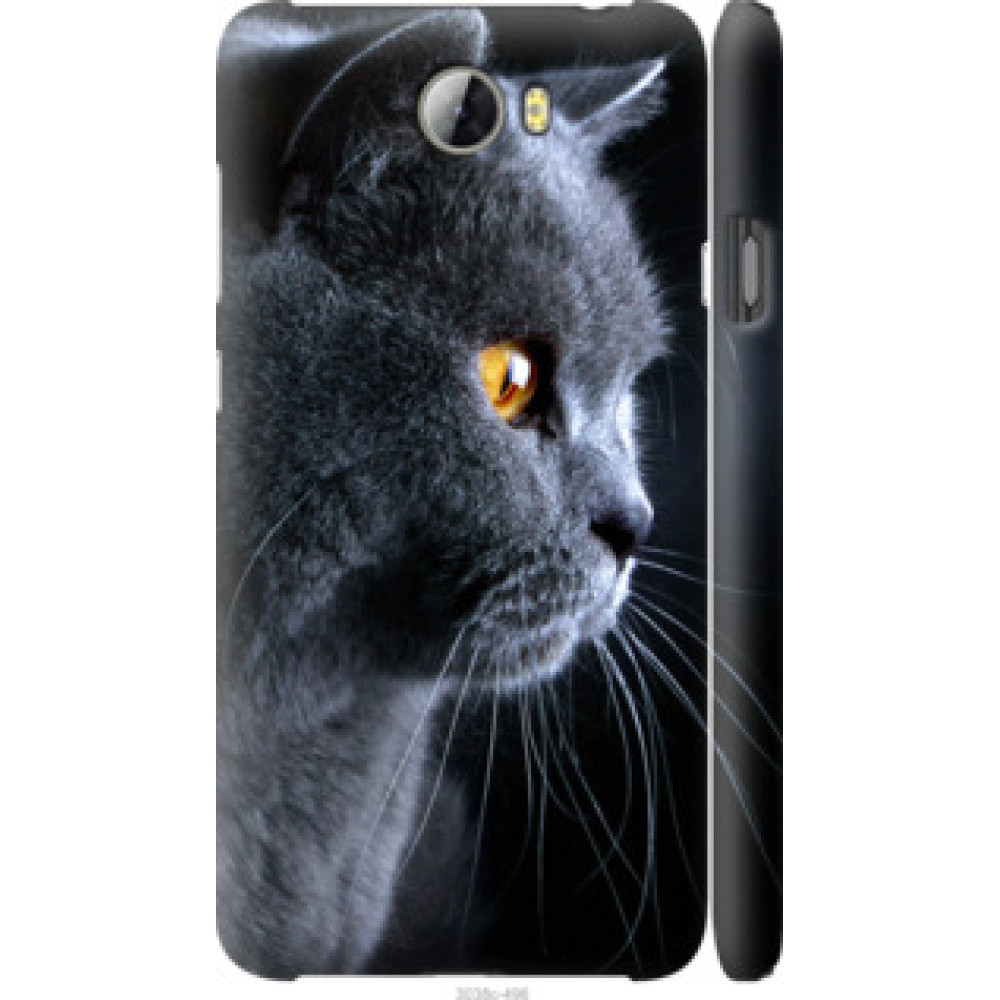 Чехол на Huawei Y5 II Красивый кот (3038c-496)