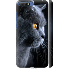 Чехол на Huawei Y6 2018 Красивый кот (3038c-1637)
