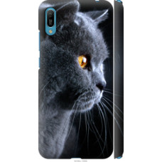 Чехол на Huawei Y6 2019 Красивый кот (3038c-1666)