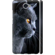 Чехол на Huawei Y7 2017 Красивый кот (3038c-1019)