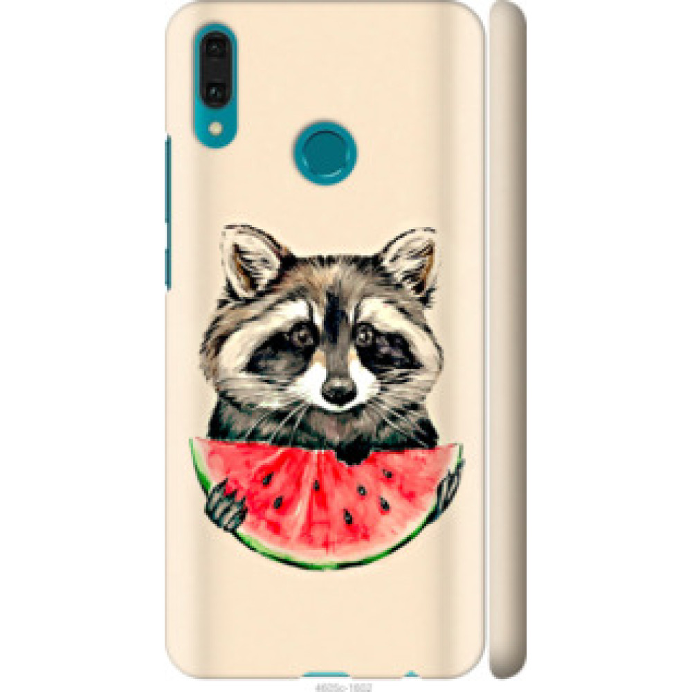 Чехол на Huawei Y9 2019 Енотик с арбузом (4605c-1602)