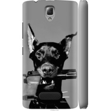 Чехол на Lenovo A2010 Доберман (2745c-216)