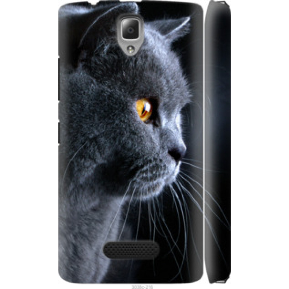Чехол на Lenovo A2010 Красивый кот (3038c-216)