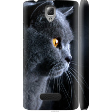 Чехол на Lenovo A2010 Красивый кот (3038c-216)
