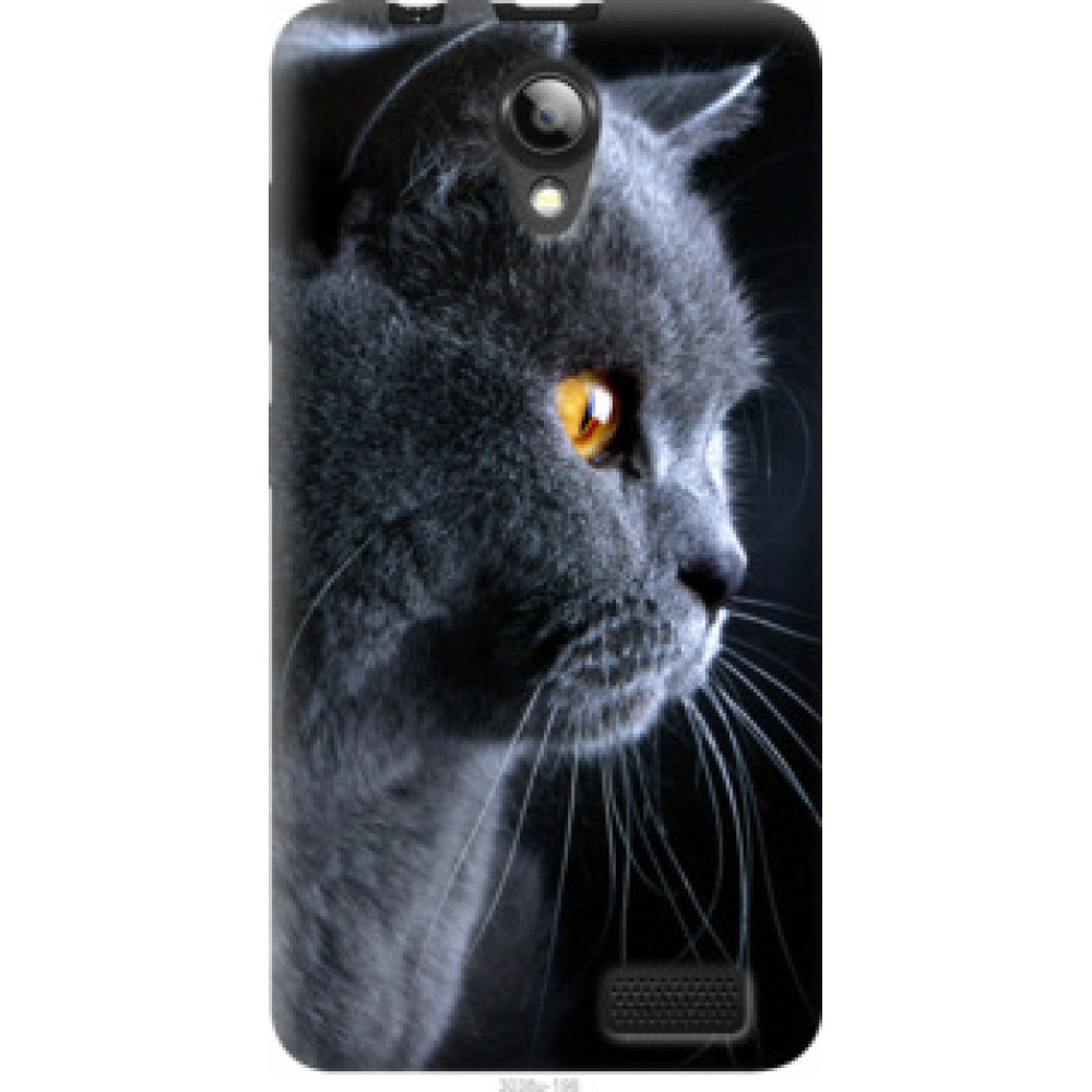 Чохол на Lenovo A319 Красивый кот (3038u-196)