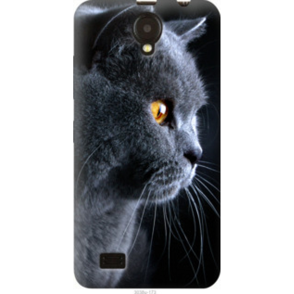 Чехол на Lenovo A3800D Красивый кот (3038u-173)