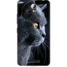 Чехол на Lenovo A5000 Красивый кот (3038u-119)